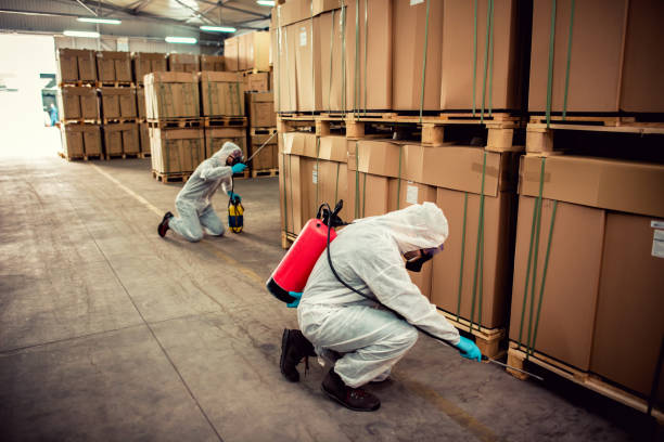 Best Affordable Pest Control Services  in West Melbourne, FL