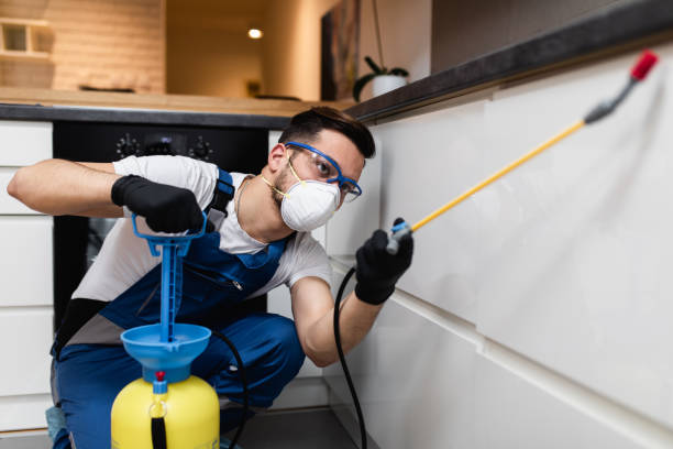Best Pest Prevention Services  in West Melbourne, FL