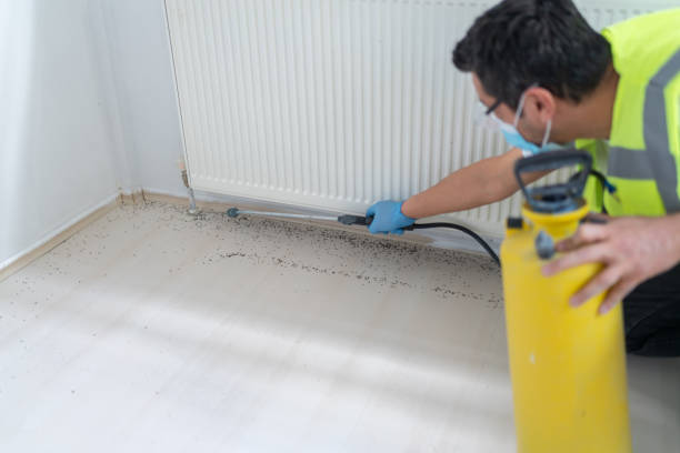 Best Local Pest Control Services  in West Melbourne, FL