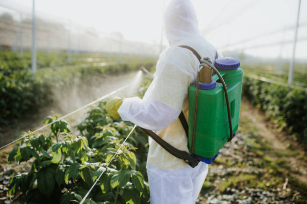 Best Best Pest Control Companies  in West Melbourne, FL